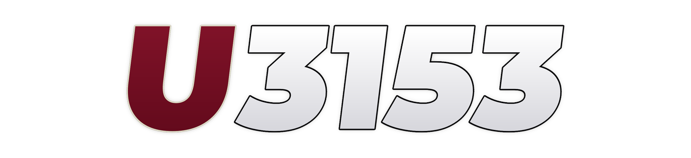 u3153